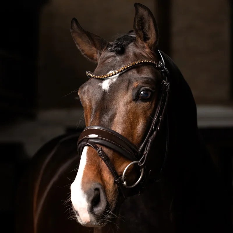 LeMieux Kudos Patent Dressage Bridle - Brown-1