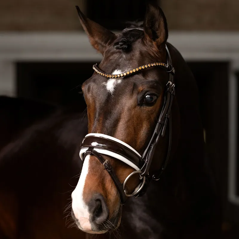 LeMieux Kudos Patent Dressage Bridle - Brown/White-2