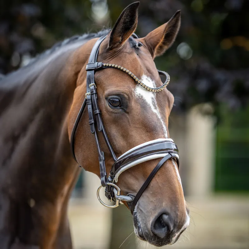 LeMieux Kudos Patent Dressage Bridle - Brown/White-1