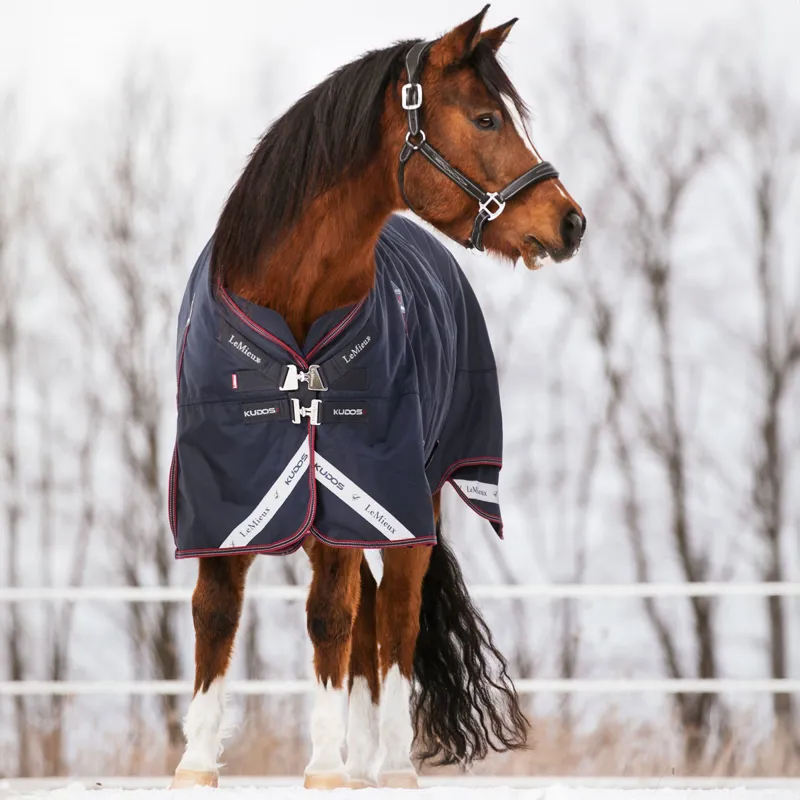LeMieux Kudos 200g Detachable Neck Turnout Rug - Navy-2