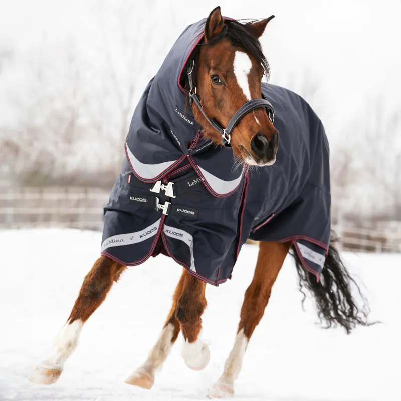 LeMieux Kudos 200g Detachable Neck Turnout Rug - Navy-1