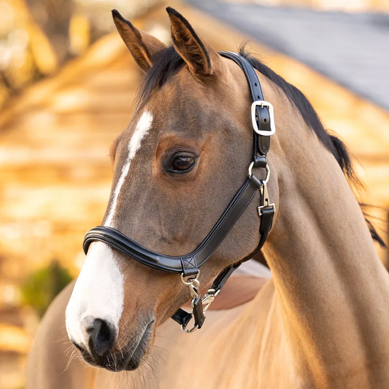 LeMieux Leather Grooming Headcollar - Brown-1