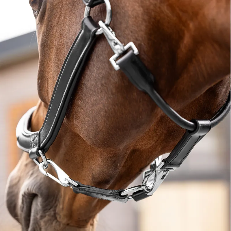 LeMieux Leather Grooming Headcollar - Black-2