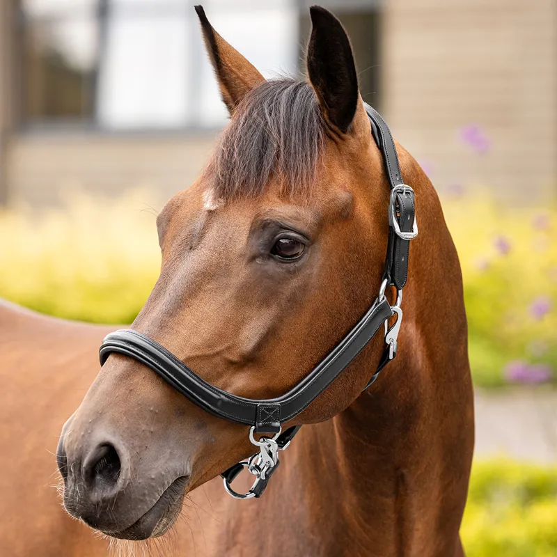 LeMieux Leather Grooming Headcollar - Black-1