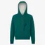 LeMieux Young Rider Hollie Sherpa Junior Hoodie - Evergreen