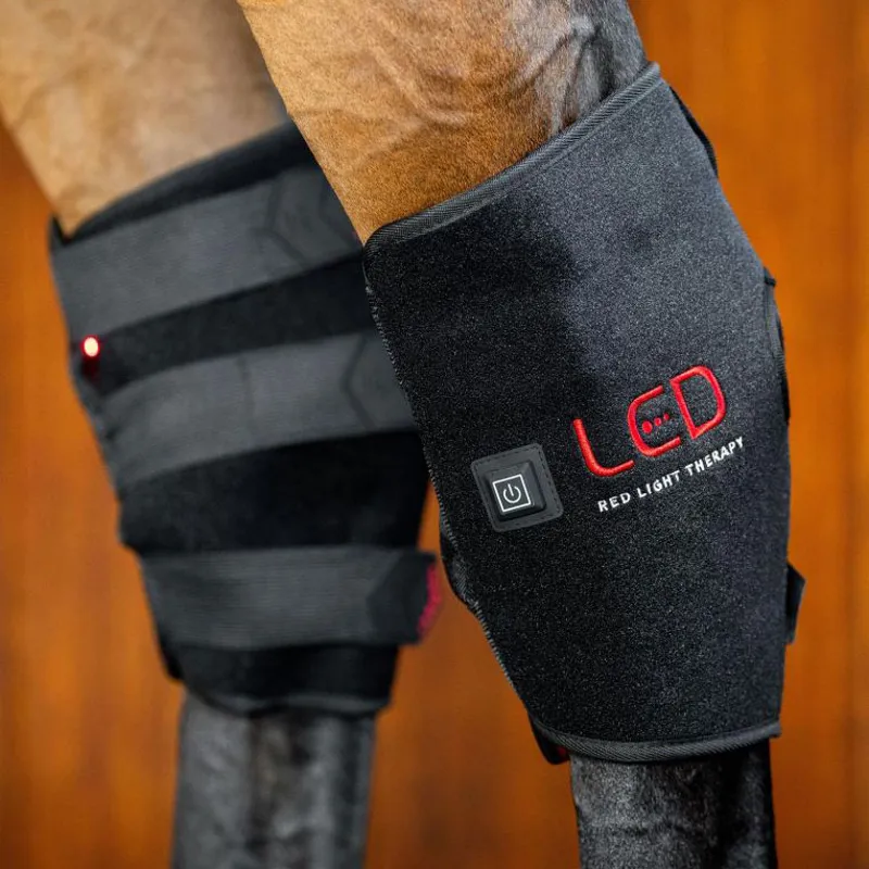 Horseware LED Red Light Therapy Single Hock Wrap