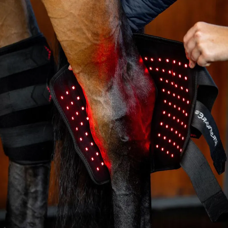 Horseware LED Red Light Therapy Single Hock Wrap-1
