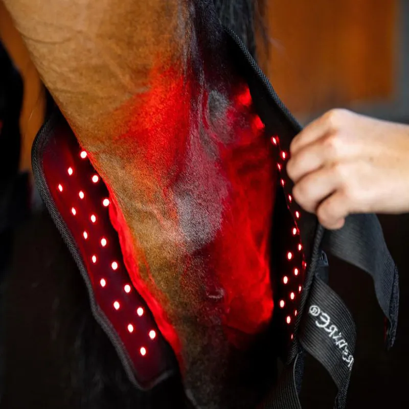 Horseware LED Red Light Therapy Single Hock Wrap-2