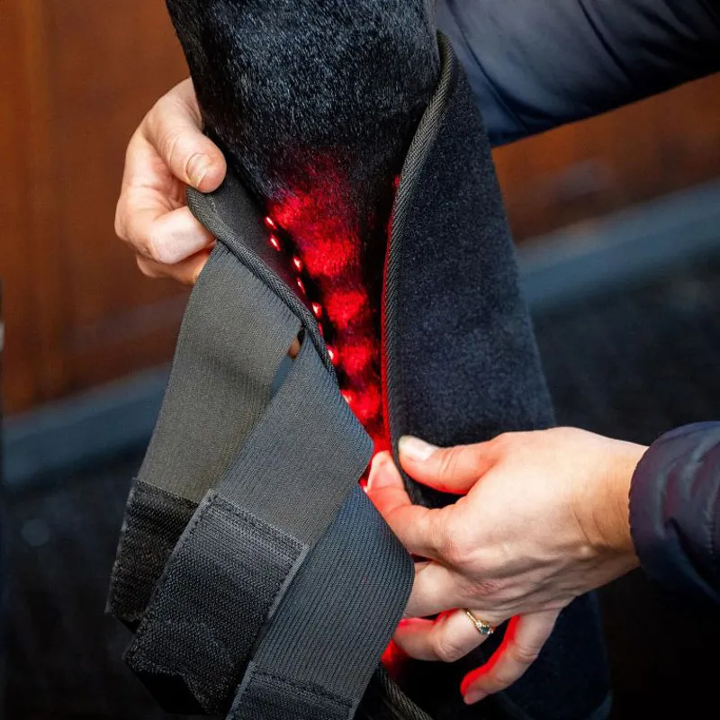 Horseware LED Red Light Therapy Single Leg Wrap-5