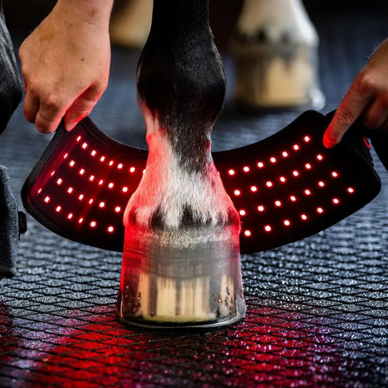 Horseware LED Red Light Therapy Single Mini Wrap-2
