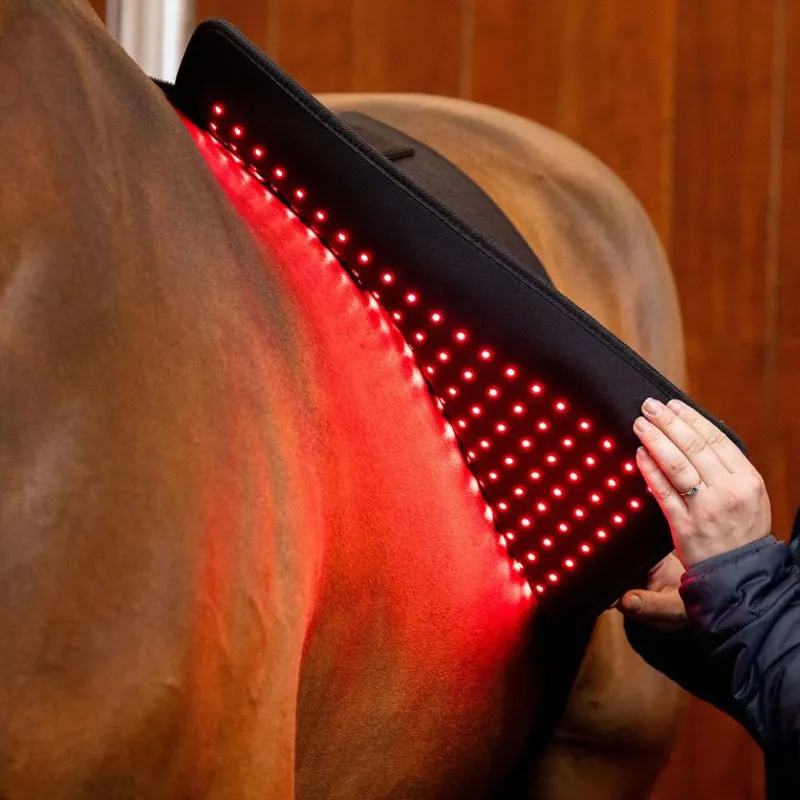 Horseware LED Red Light Therapy Pad -3