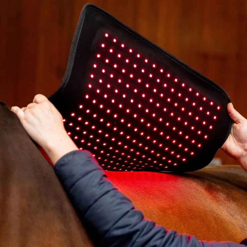 Horseware LED Red Light Therapy Pad -5