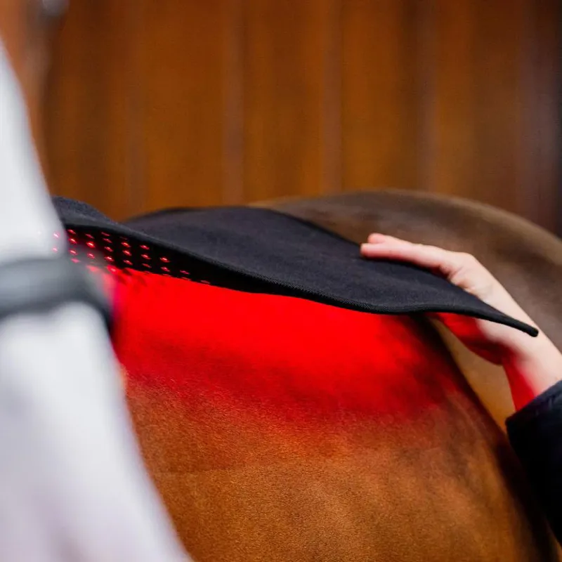 Horseware LED Red Light Therapy Pad -6