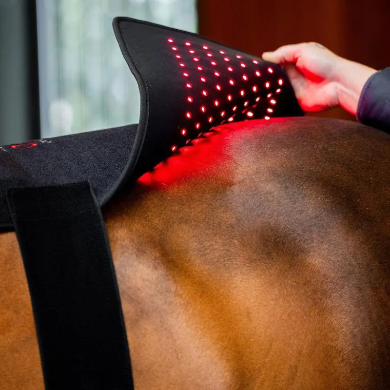 Horseware LED Red Light Therapy Pad -7