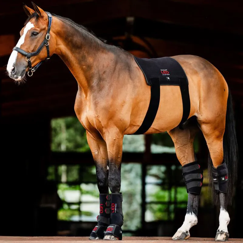 Horseware LED Red Light Therapy Single Leg Wrap-8