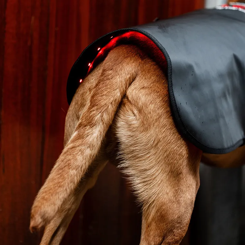 Horseware LED Red Light Therapy Pet Coat - Black-8