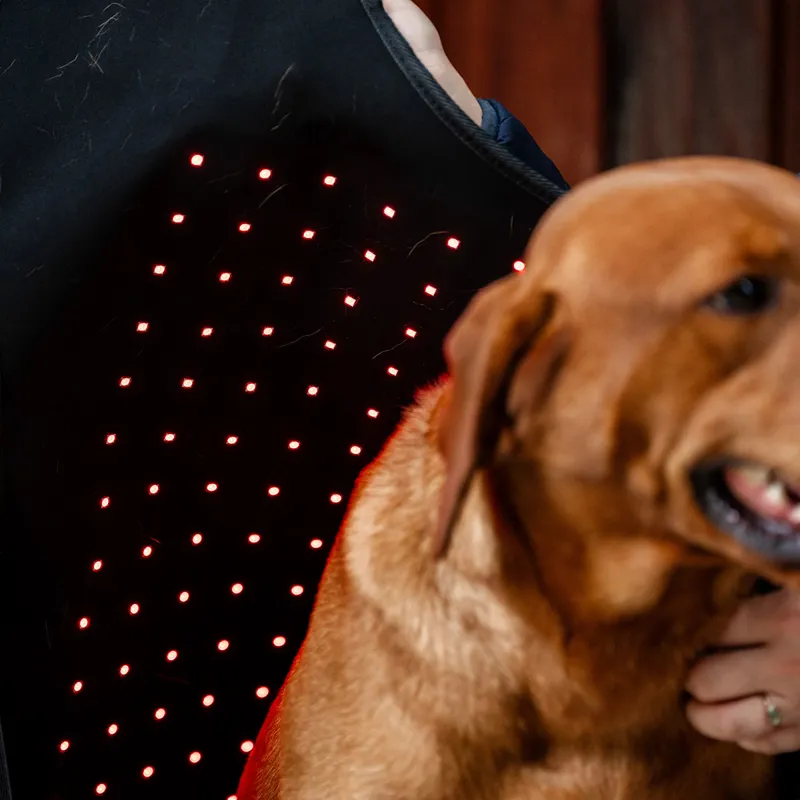 Horseware LED Red Light Therapy Pet Coat - Black-2