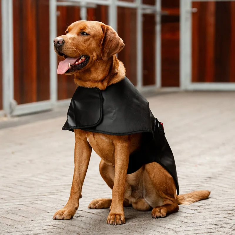 Horseware LED Red Light Therapy Pet Coat - Black-1