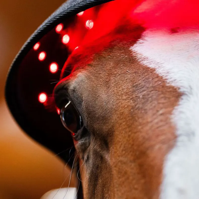 Horseware LED Red Light Therapy Poll Cap-1