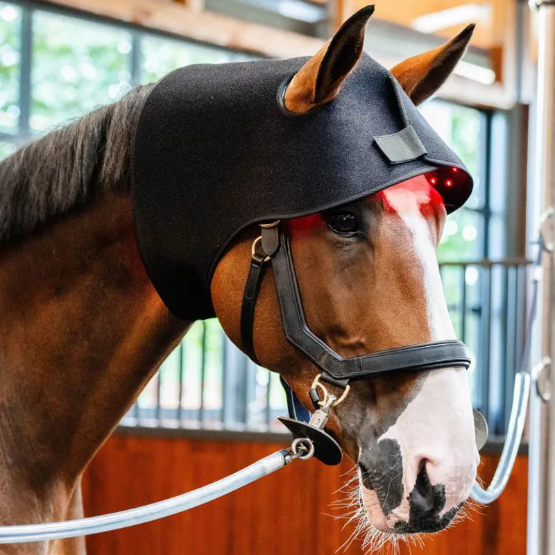 Horseware LED Red Light Therapy Poll Cap-2