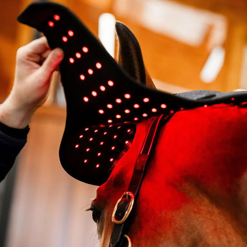 Horseware LED Red Light Therapy Poll Cap-4