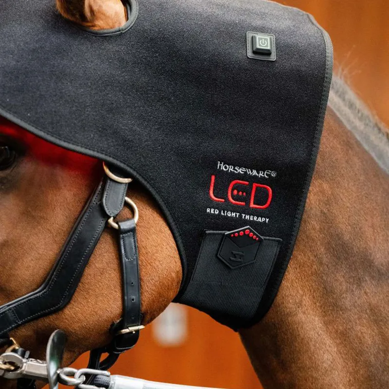 Horseware LED Red Light Therapy Poll Cap-6