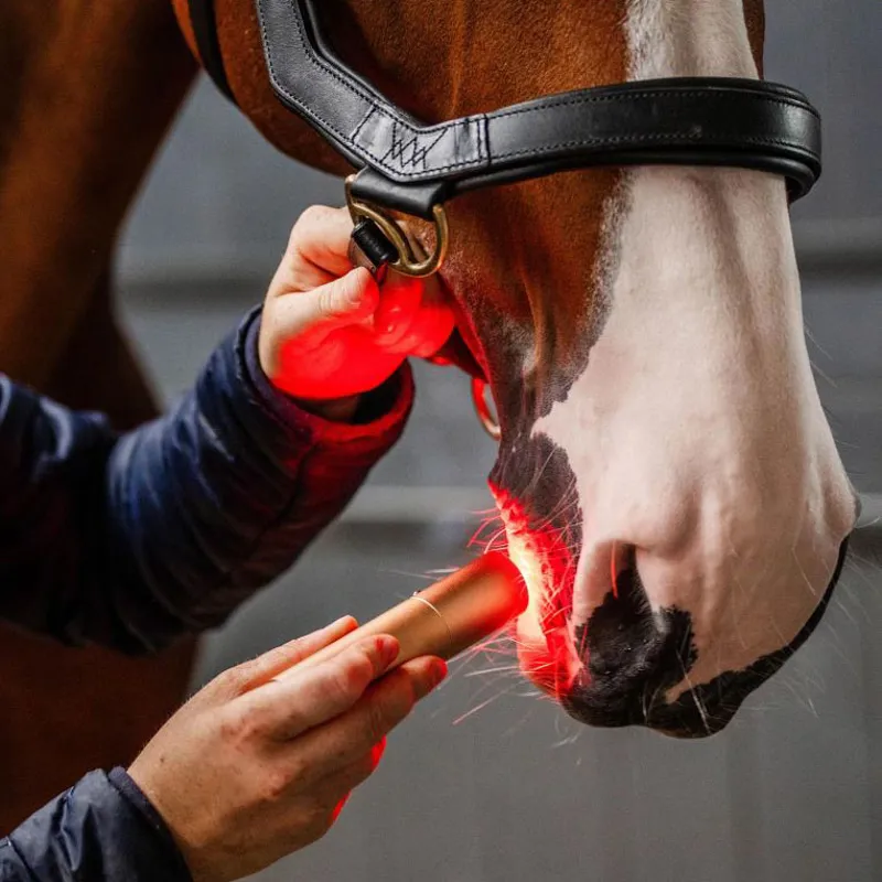 Horseware LED Red Light Therapy Wand-3