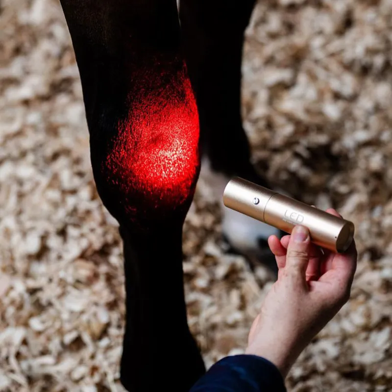 Horseware LED Red Light Therapy Wand-4