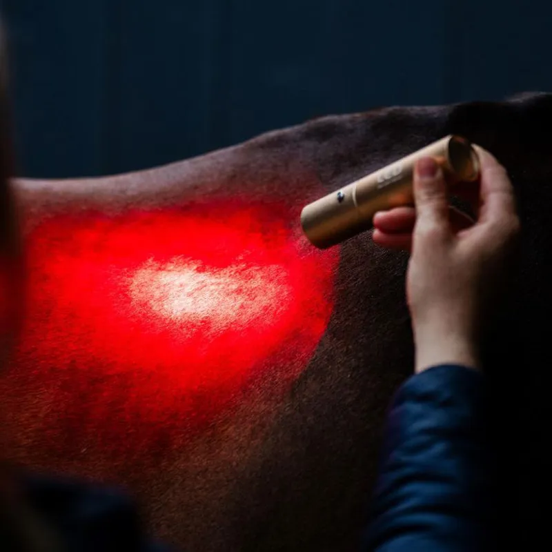 Horseware LED Red Light Therapy Wand-5