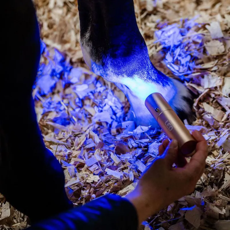 Horseware LED Red Light Therapy Wand-7