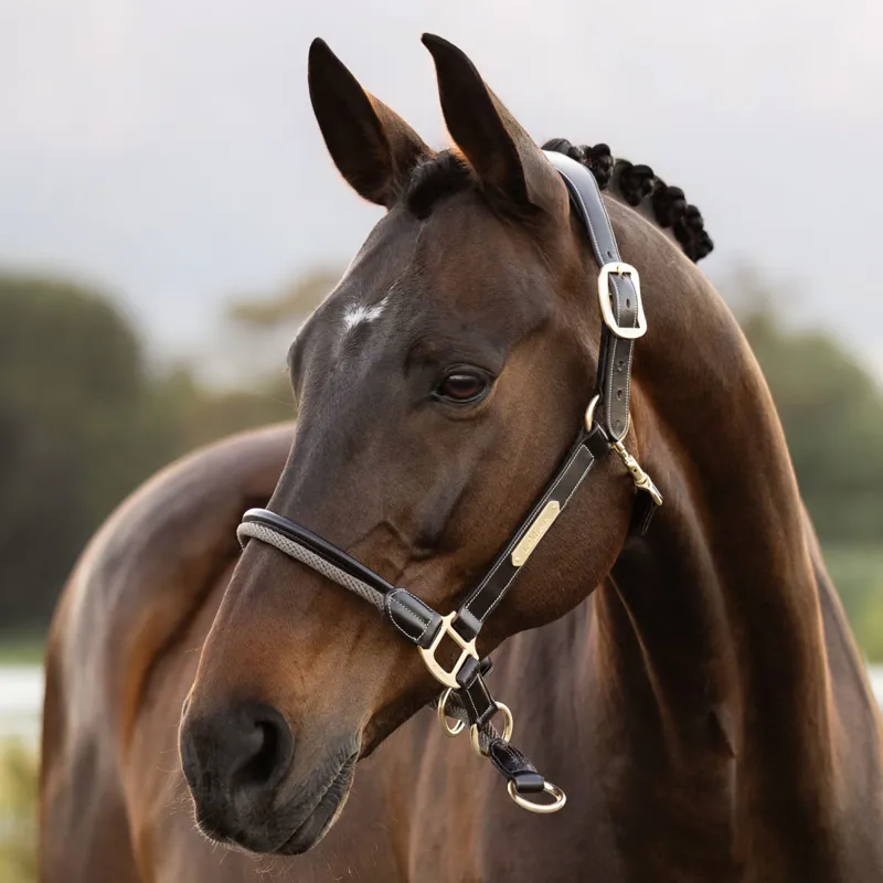 LeMieux Rope Control Headcollar - Pecan-1
