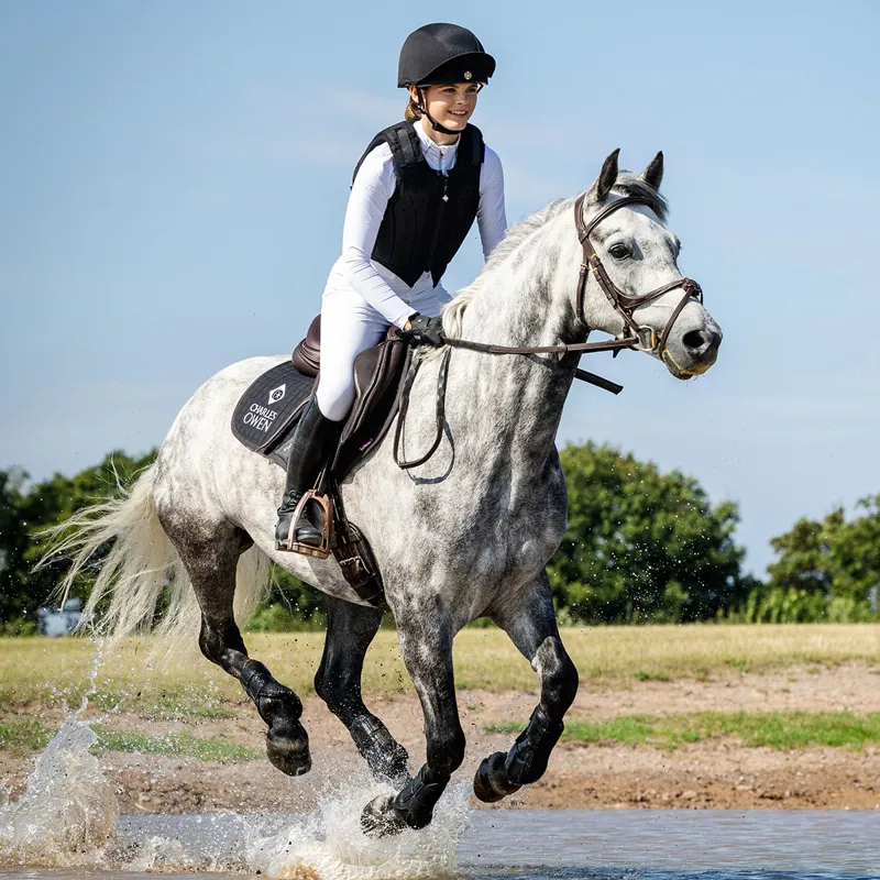 Charles Owen EQx Phoenix MIPS Skull Riding Hat - Black/Silver-2