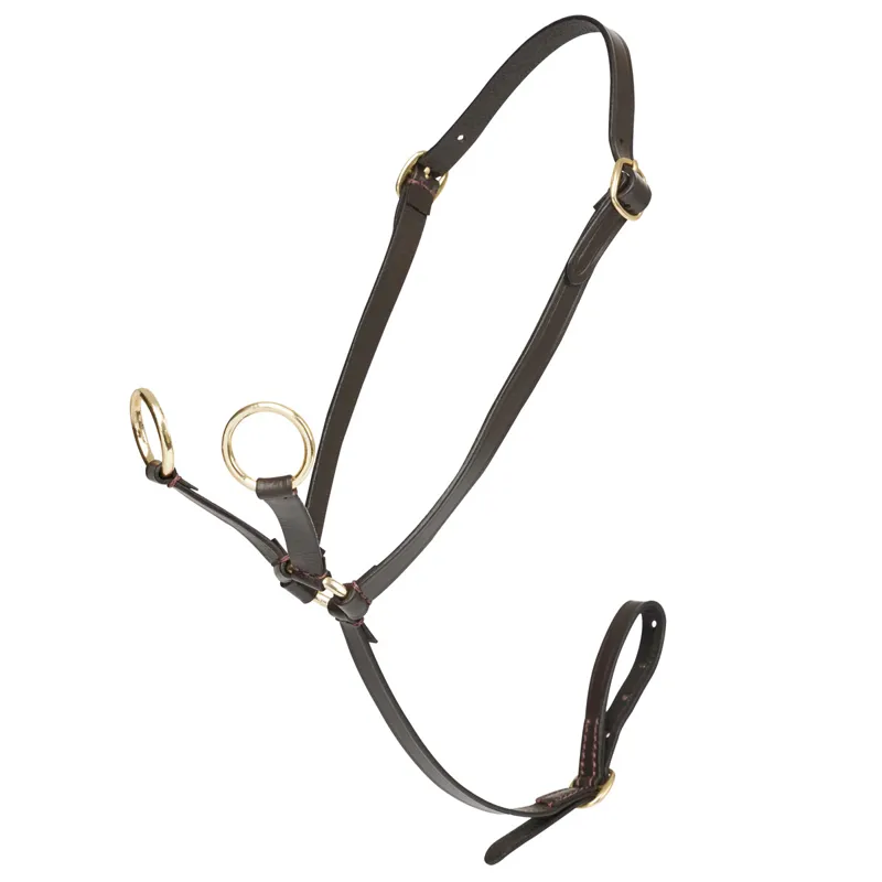 LeMieux Mini Toy Pony Martingale - Brown