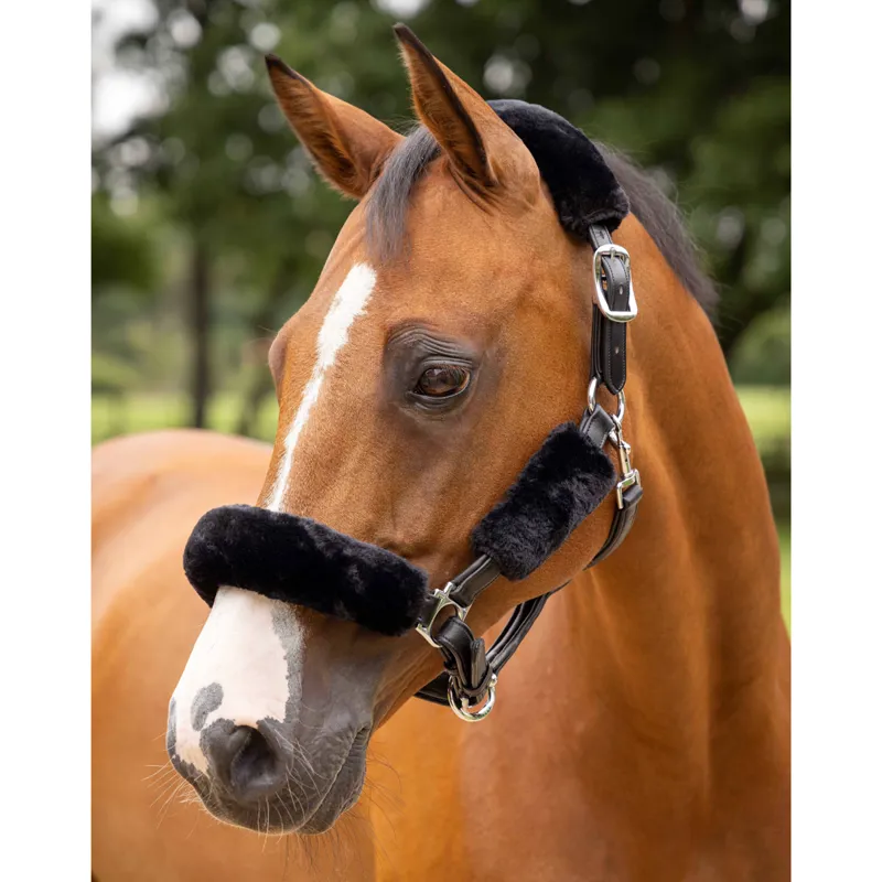 LeMieux Simuwool Headcollar Cover Set - Black-1