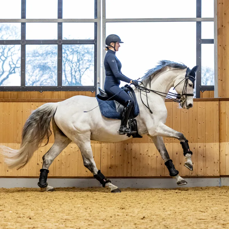 LeMieux Dressage Work Pad - Navy-2