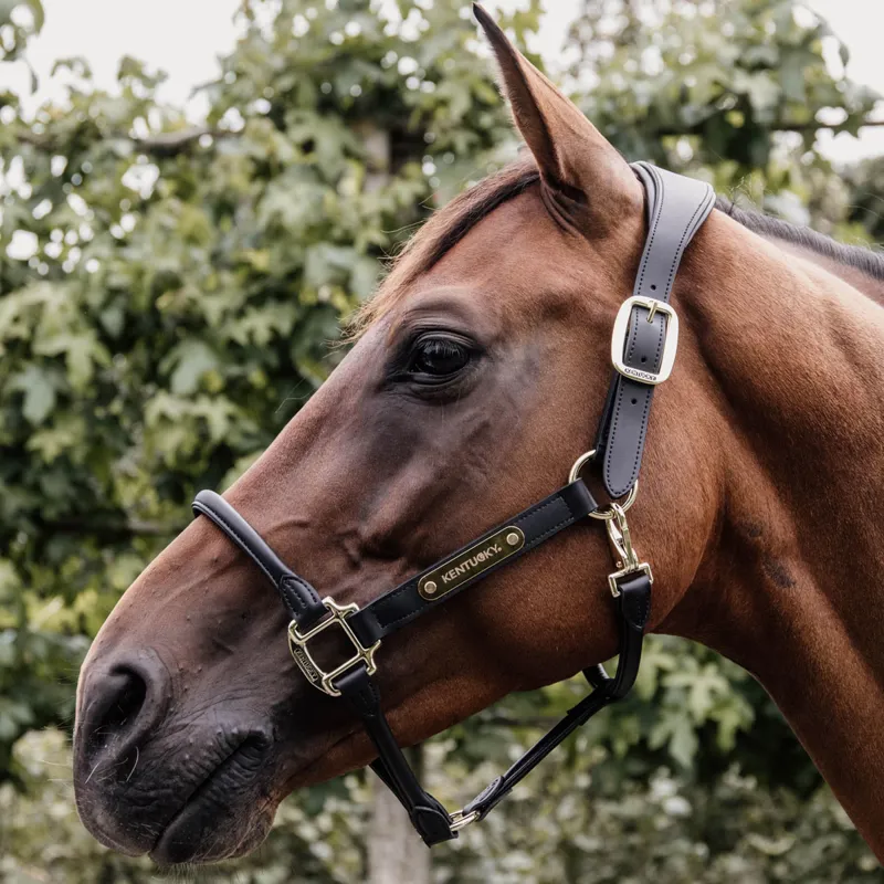 Kentucky Anatomic Artificial Leather Headcollar - Black-3