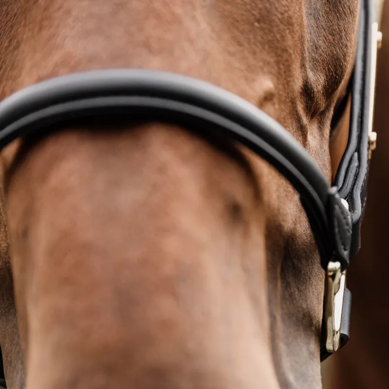 Kentucky Anatomic Artificial Leather Headcollar - Black-4