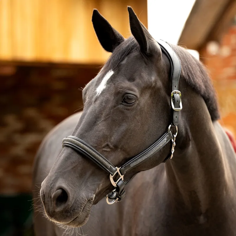 LeMieux Leather Crystal Headcollar - Black -1
