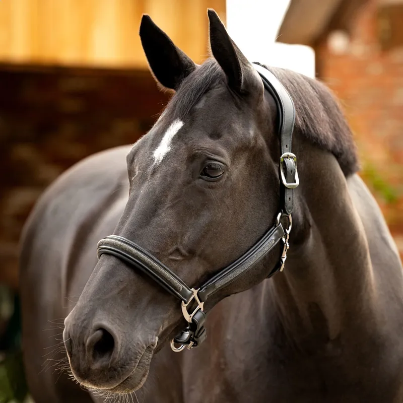LeMieux Leather Crystal Headcollar - Black -2
