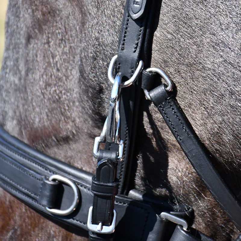 Rhinegold Leather Lunge Cavesson - Black-4