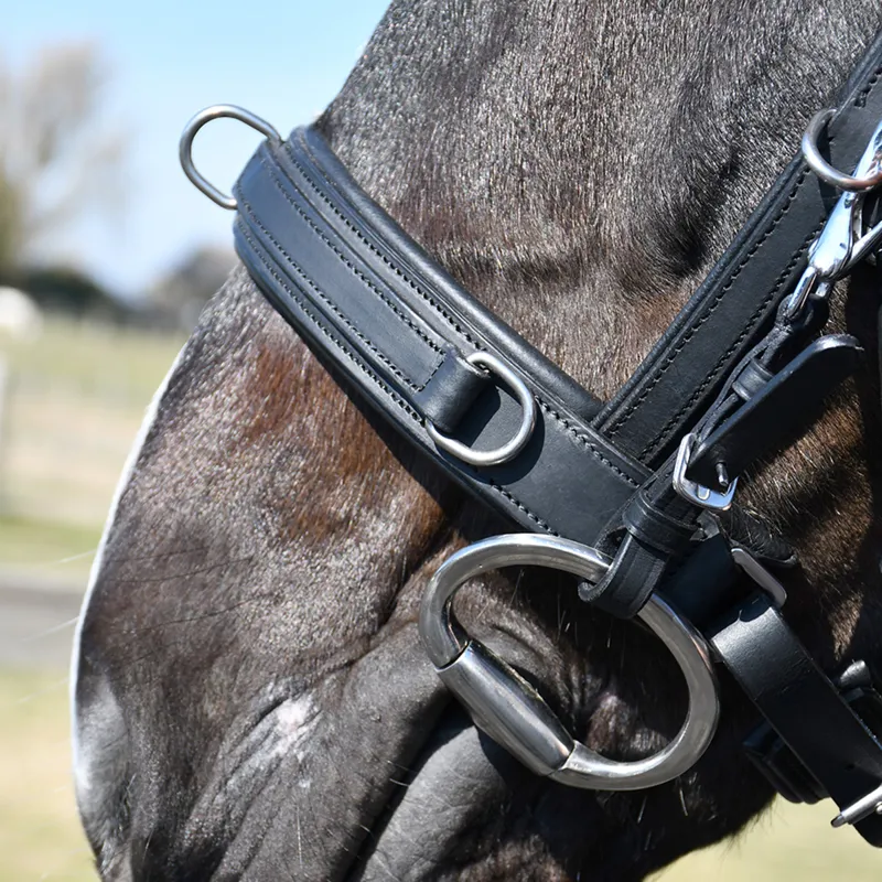 Rhinegold Leather Lunge Cavesson - Black-3