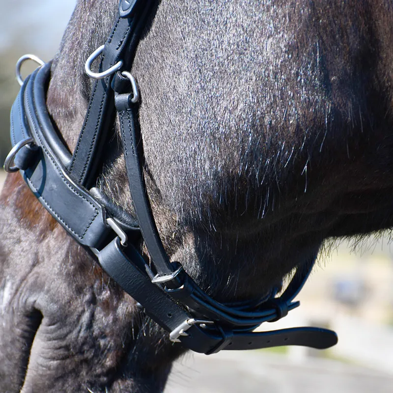 Rhinegold Leather Lunge Cavesson - Black-2