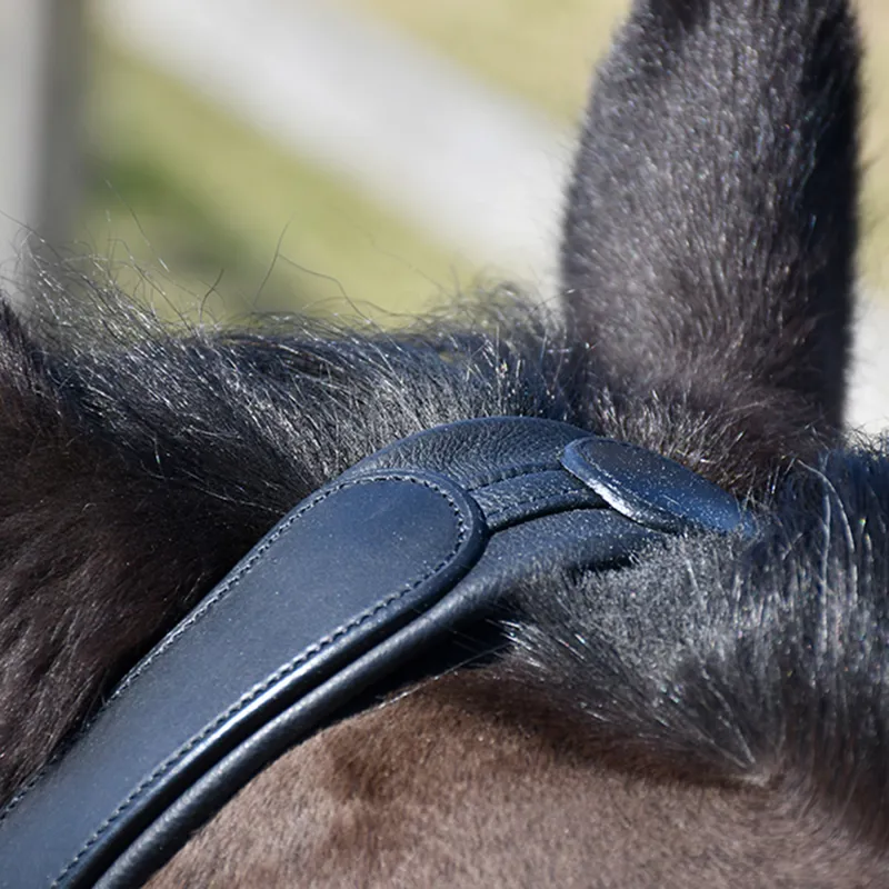 Rhinegold Leather Lunge Cavesson - Black-1