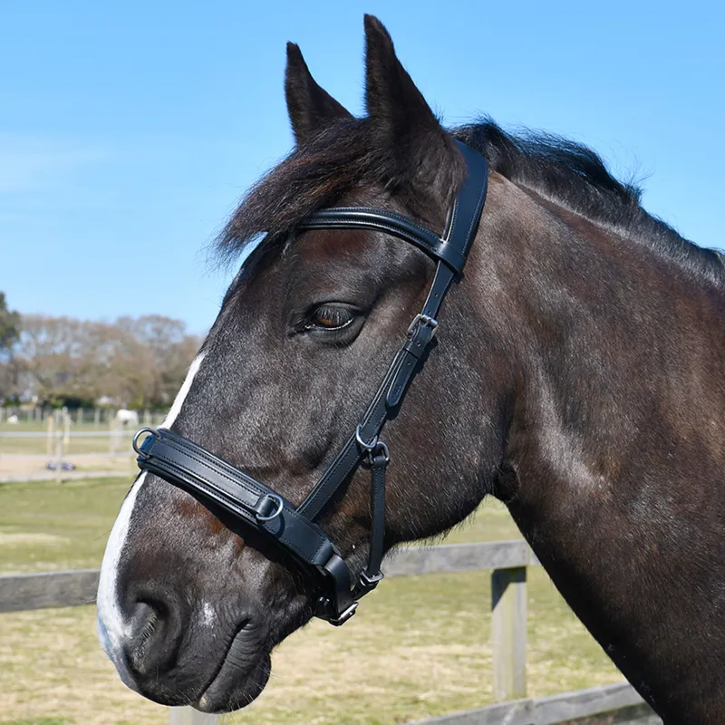 Rhinegold Leather Lunge Cavesson - Black