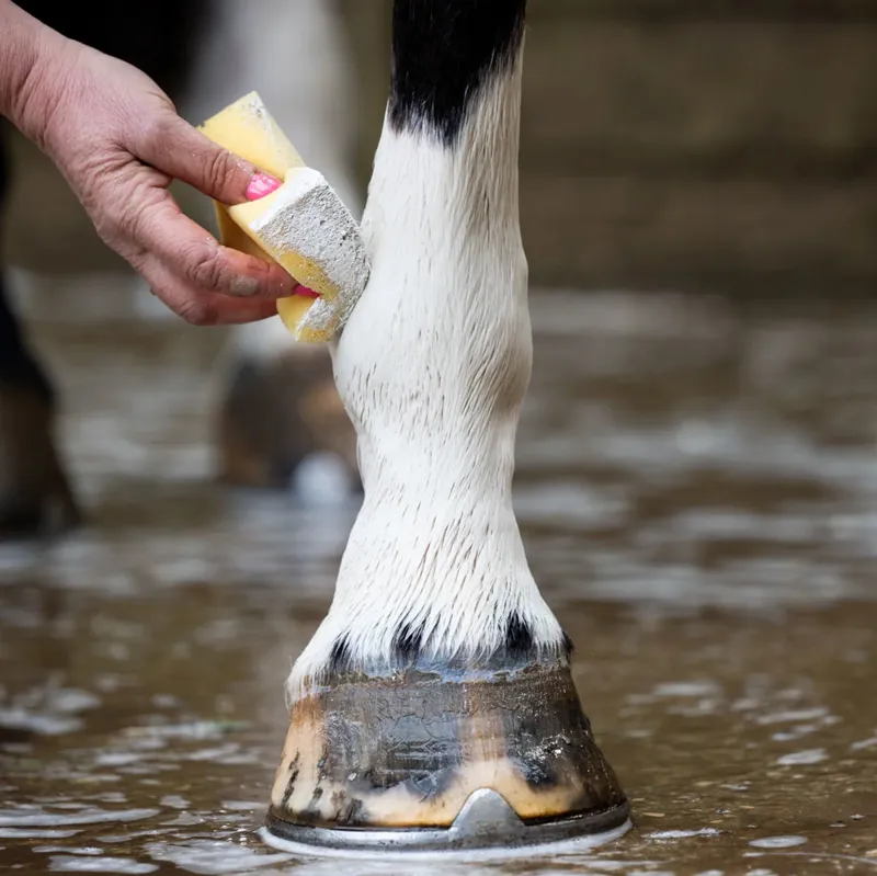 Smart Grooming Leg and Body Whitener-1