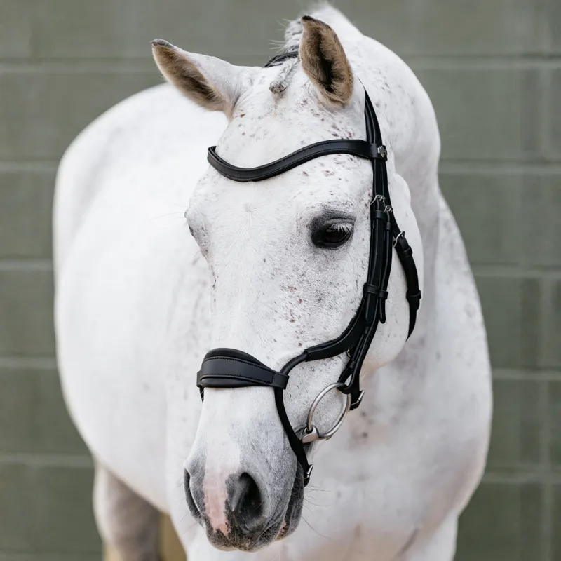 LeMieux Arika Adjustable Anatomic Noseband Bridle - Black/Silver