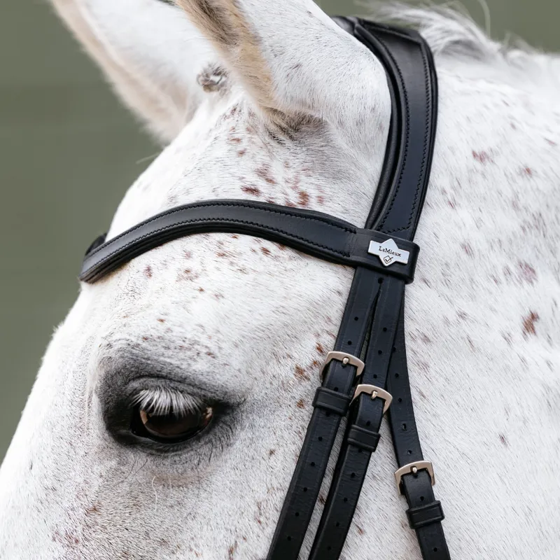 LeMieux Arika Adjustable Anatomic Noseband Bridle - Black/Silver-3