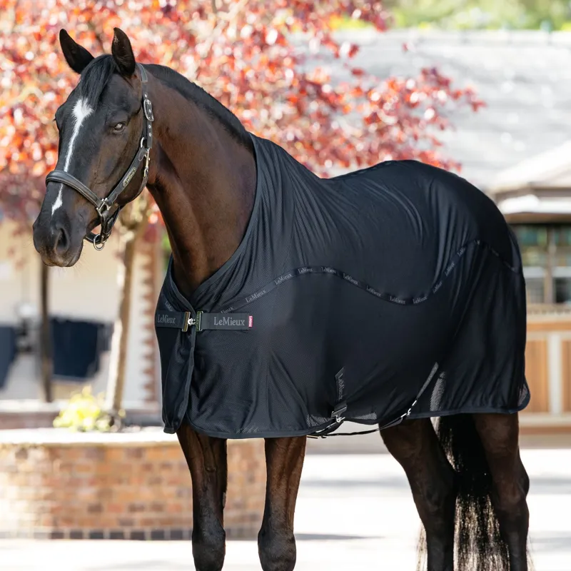 LeMieux Arika Air-Tek Stable Sheet - Navy-1