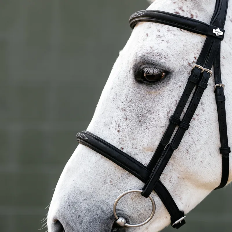 LeMieux Classique Cavesson Bridle - Black-3
