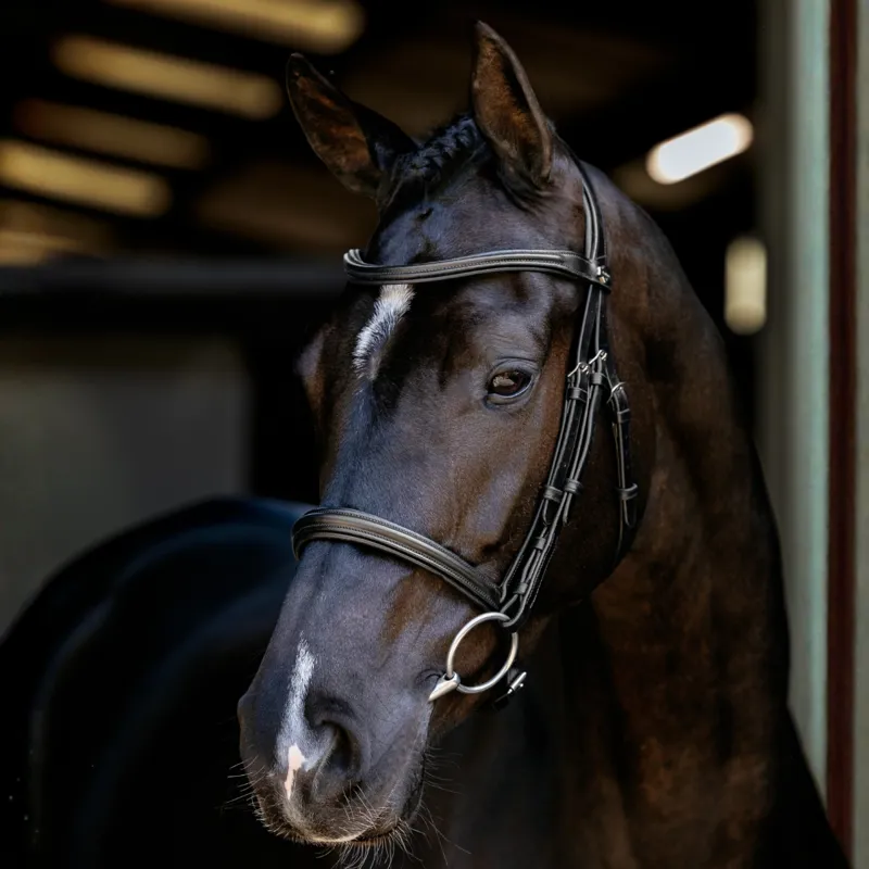 LeMieux Arika Cavesson Bridle - Black/Silver
